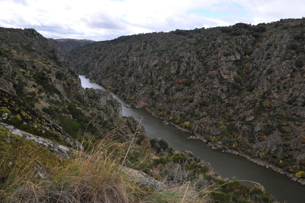 Posada Real La Mula De Los Arribes Villardiegua de la Ribera Екстер'єр фото