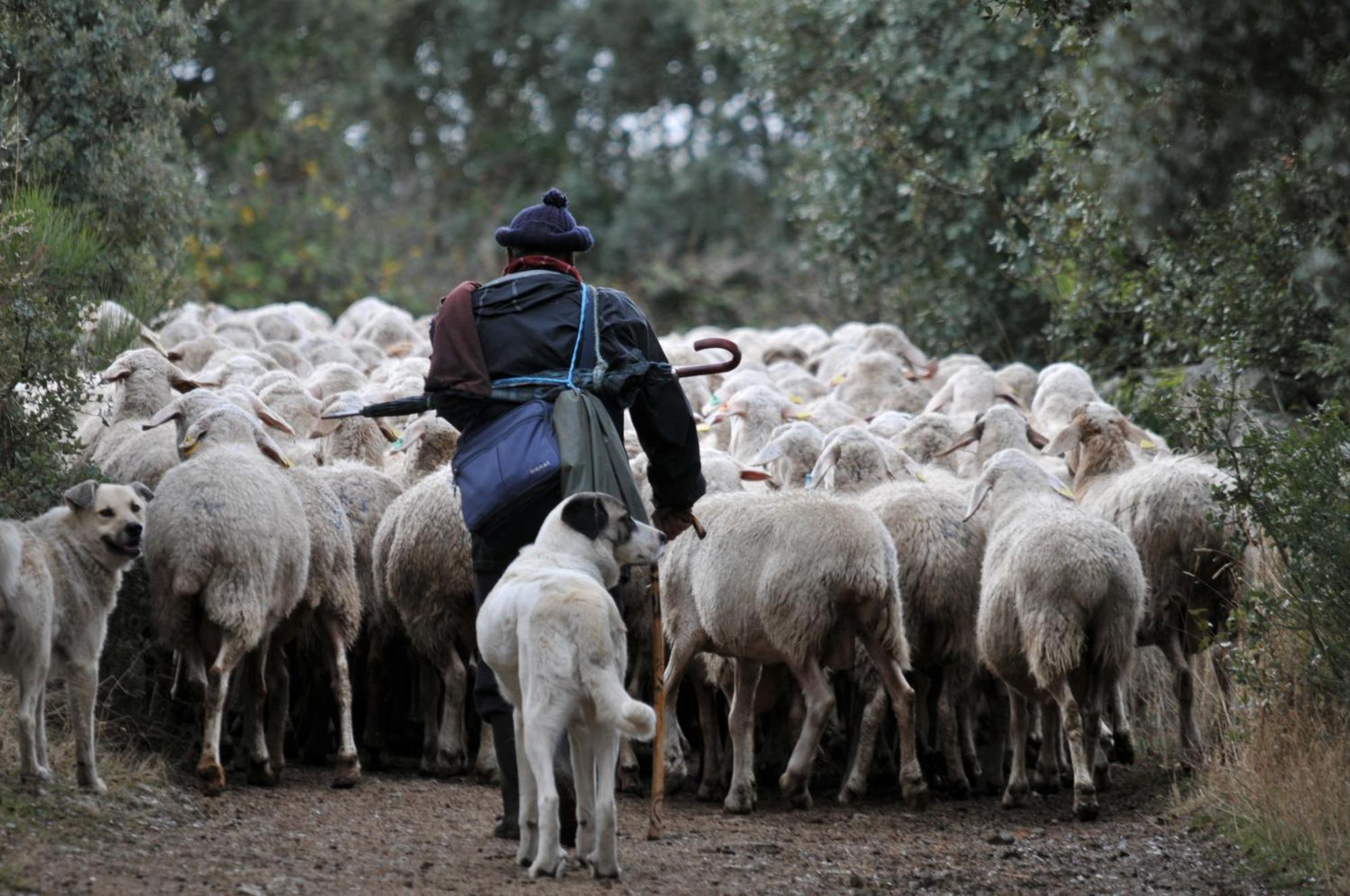 Posada Real La Mula De Los Arribes Villardiegua de la Ribera Екстер'єр фото