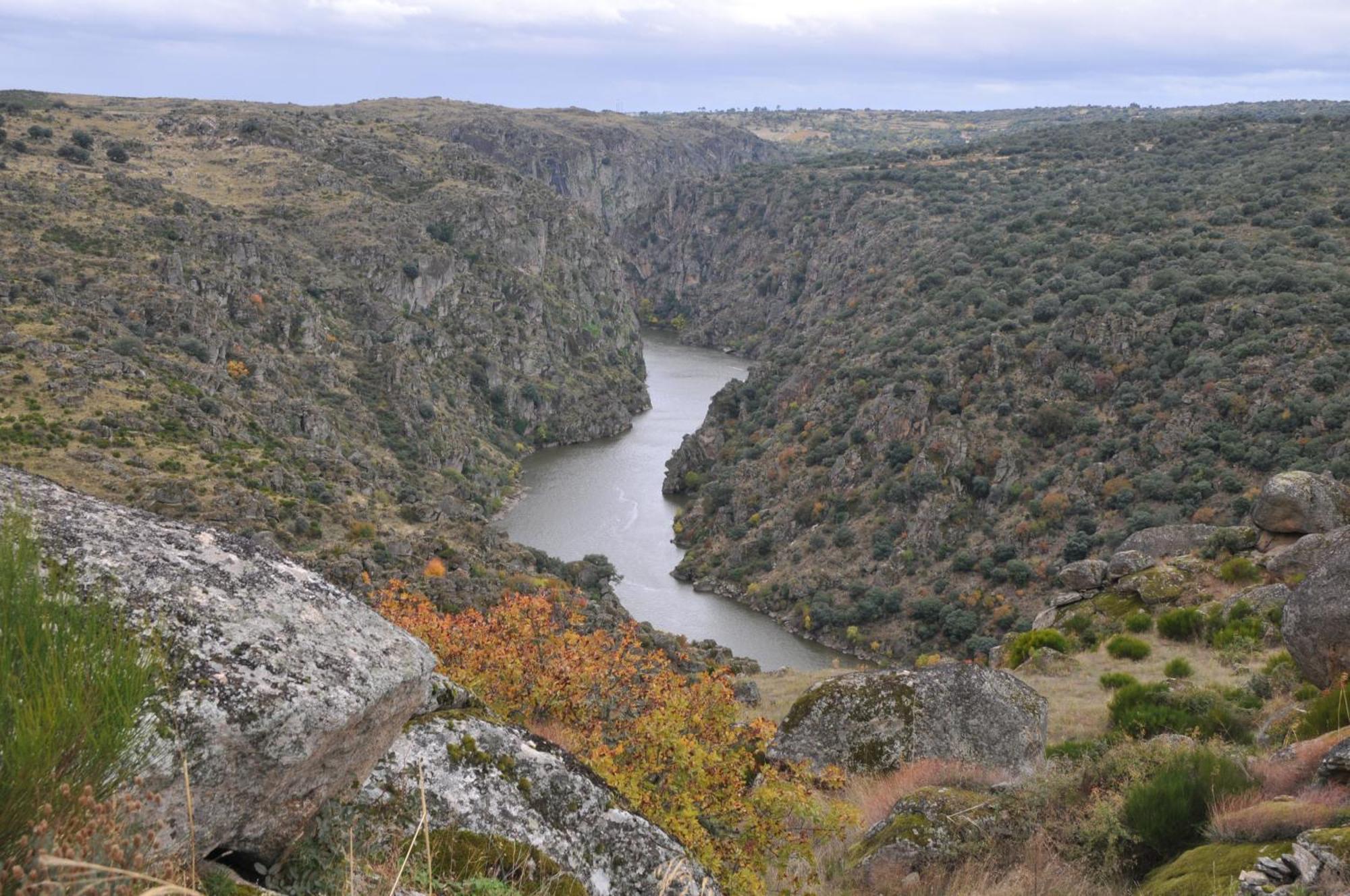 Posada Real La Mula De Los Arribes Villardiegua de la Ribera Екстер'єр фото